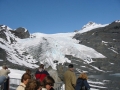 IMG_0002_10_36.jpg