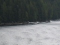 IMG_0062_14_36.jpg