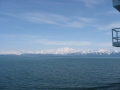 IMG_0133_10_38.jpg