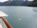 IMG_0138_11_35.jpg
