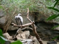 IMG_2466.jpg