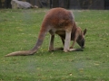IMG_2480.jpg