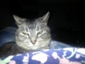 20130130_235659.jpg