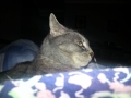 20130130_235705.jpg