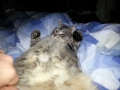 20130207_225513.jpg