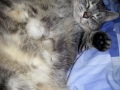 20130207_225520.jpg