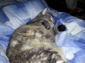 20130207_225540.jpg