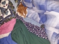 20130210_032024.jpg