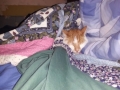20130210_032031.jpg