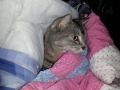 20130322_071340.jpg