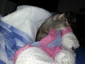 20130322_071347.jpg