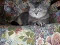 20130330_140243.jpg
