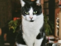 860757656_f0682bf73c_o.jpg
