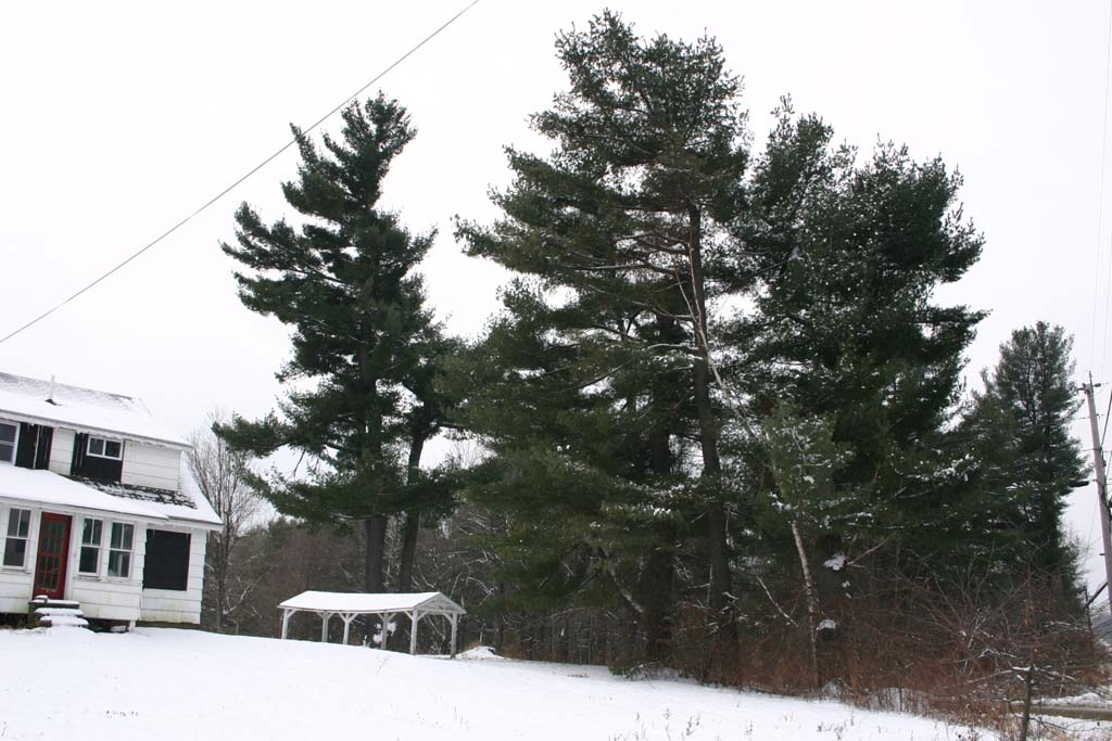 maine-003