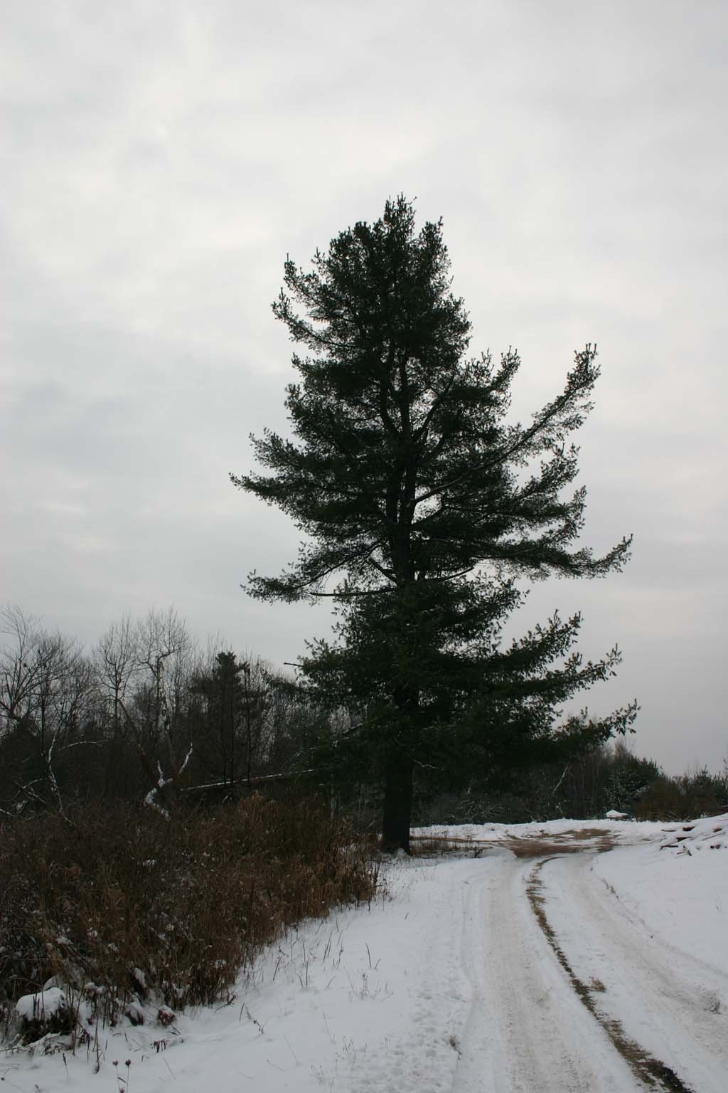 maine-005