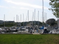 IMG_0009.jpg