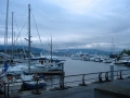 IMG_0011001.jpg