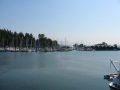 IMG_0021.jpg