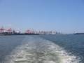 IMG_0041.jpg