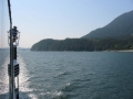 IMG_0051.jpg