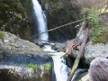 IMG_0067.jpg