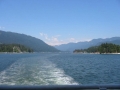 IMG_0087.jpg
