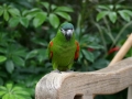 IMG_0114.jpg