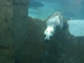 IMG_0171.jpg