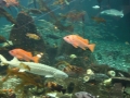 IMG_0180.jpg