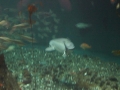 IMG_0181.jpg