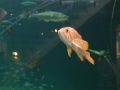 IMG_0182.jpg