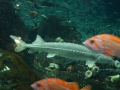 IMG_0183.jpg